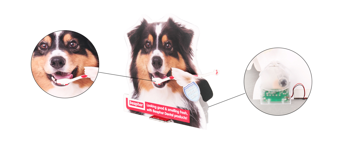 定制狗形PVC和PETG太陽能兒童牙刷展示架 工廠直銷 定制狗形PVC和PETG太陽能兒童牙刷展示架 工廠直銷